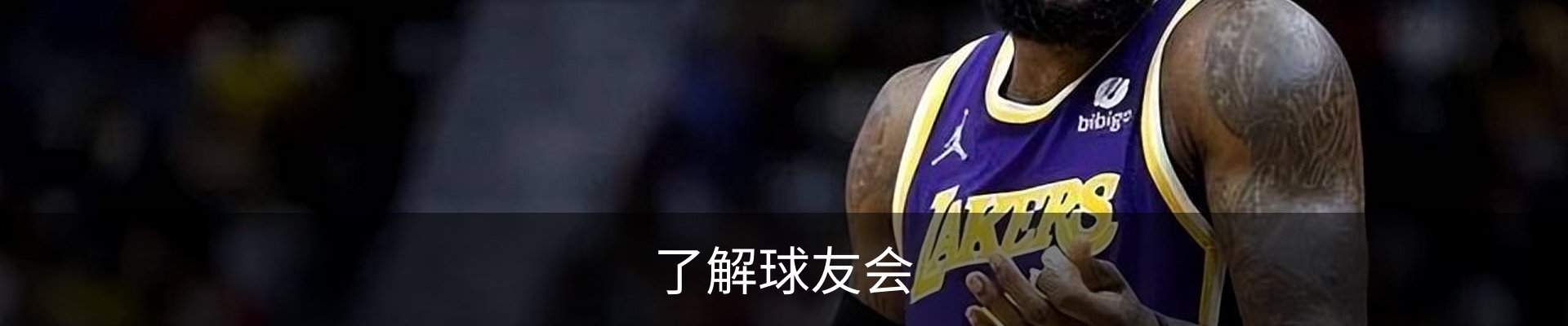 了解球友会